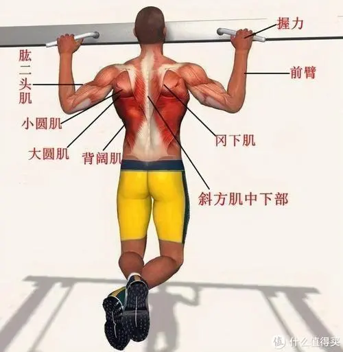 塑胶跑道材料何去何从？揭秘其别样分类！